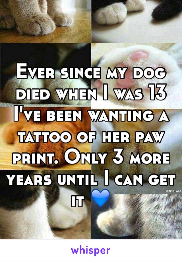 Ever since my dog died when I was 13 I've been wanting a tattoo of her paw print. Only 3 more years until I can get it 💙