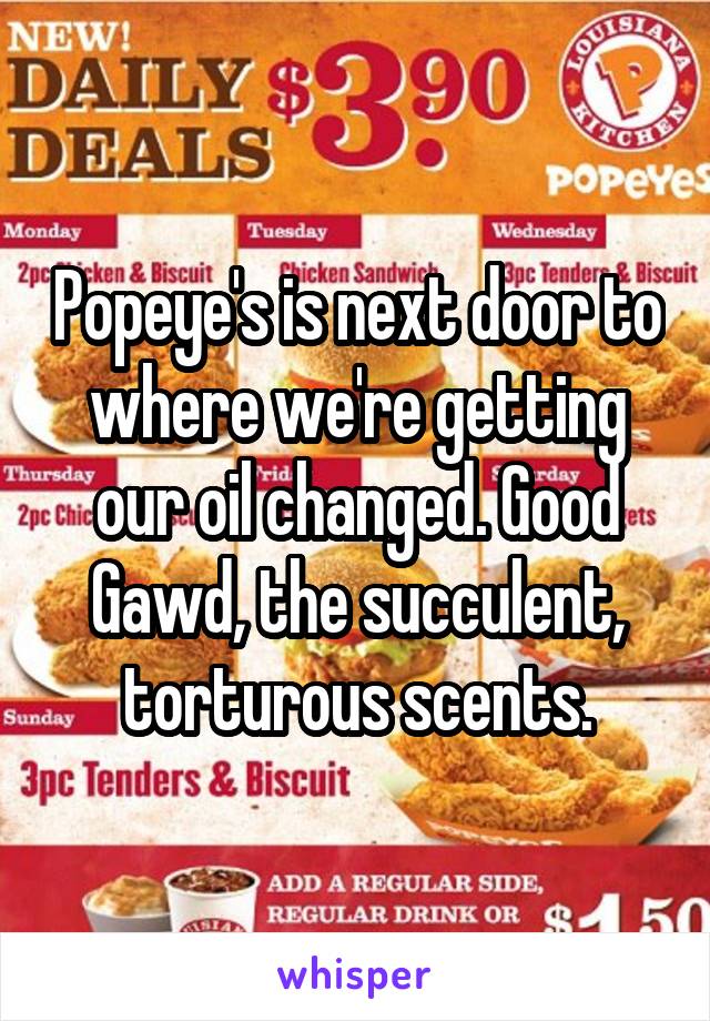 Popeye's is next door to where we're getting our oil changed. Good Gawd, the succulent, torturous scents.
