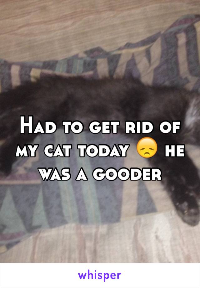 Had to get rid of my cat today 😞 he was a gooder