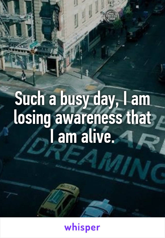 Such a busy day, I am losing awareness that I am alive.