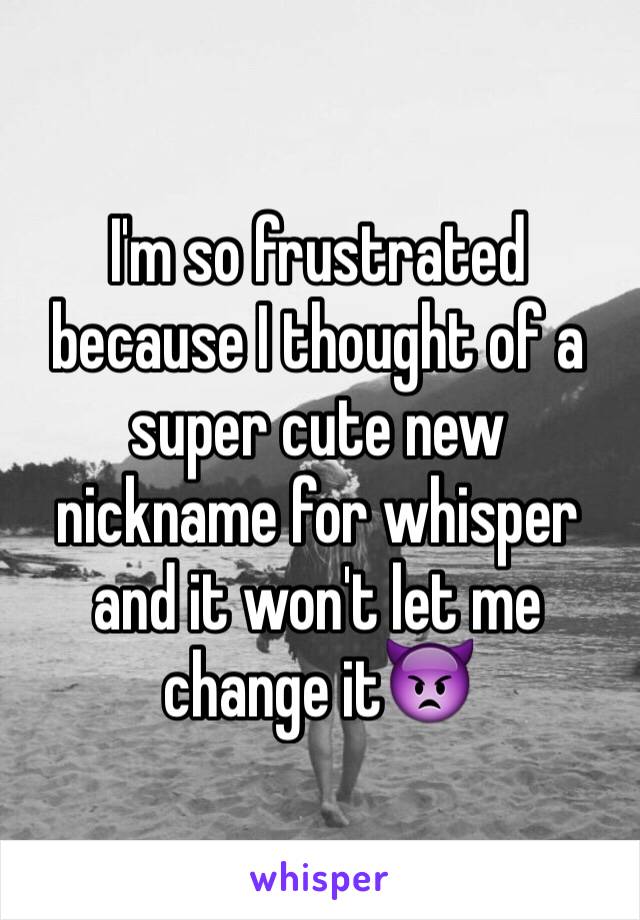 I'm so frustrated because I thought of a super cute new nickname for whisper and it won't let me change it👿