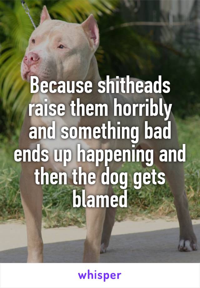 Because shitheads raise them horribly and something bad ends up happening and then the dog gets blamed