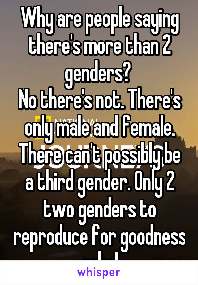 Why are people saying there's more than 2 genders? 
No there's not. There's only male and female. There can't possibly be a third gender. Only 2 two genders to reproduce for goodness sake!