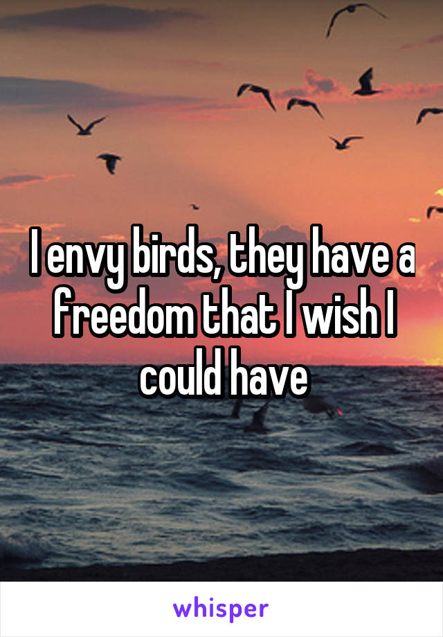 I envy birds, they have a freedom that I wish I could have