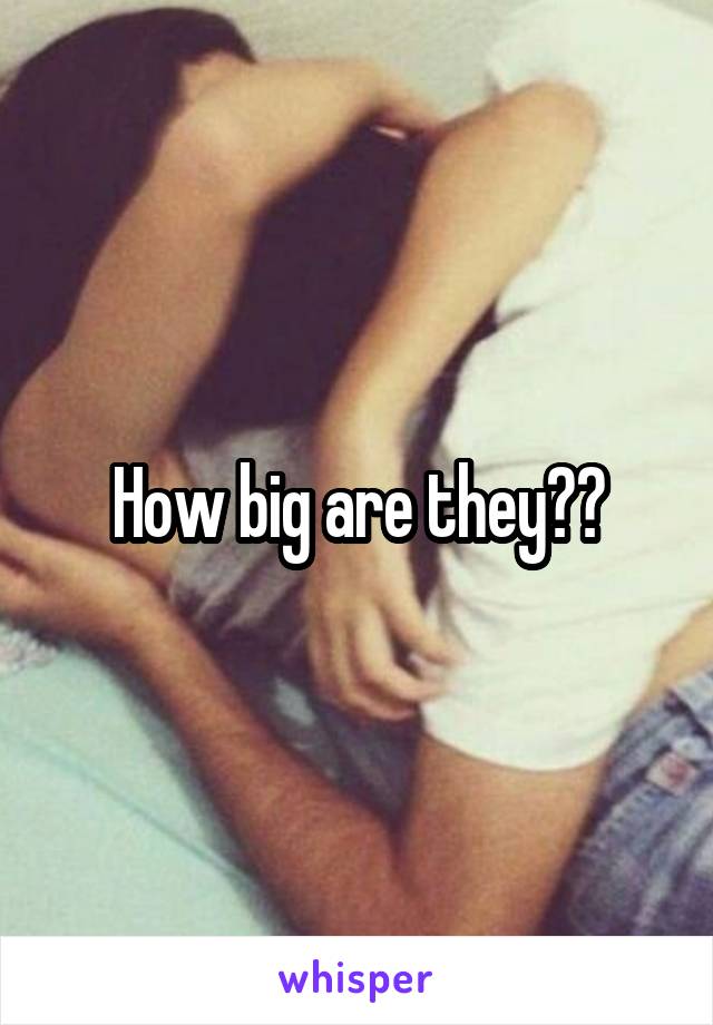 How big are they??