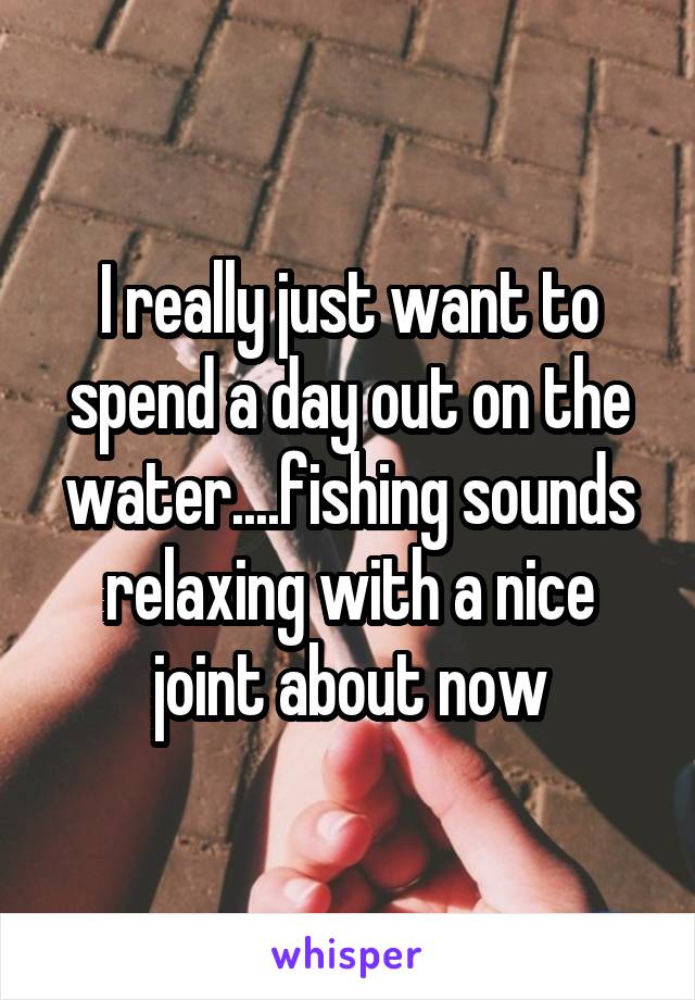 I really just want to spend a day out on the water....fishing sounds relaxing with a nice joint about now