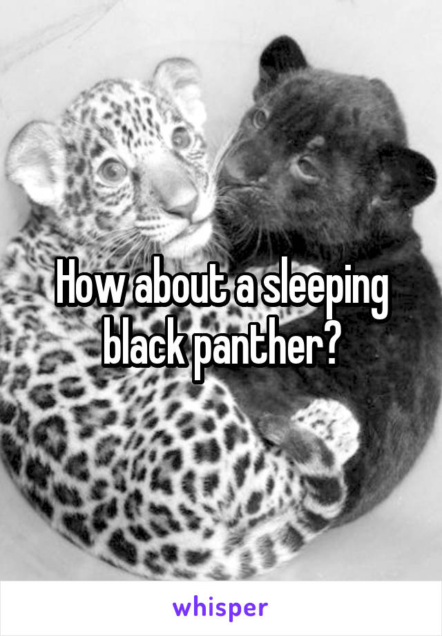 How about a sleeping black panther?
