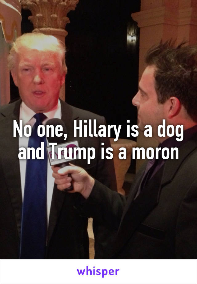 No one, Hillary is a dog and Trump is a moron