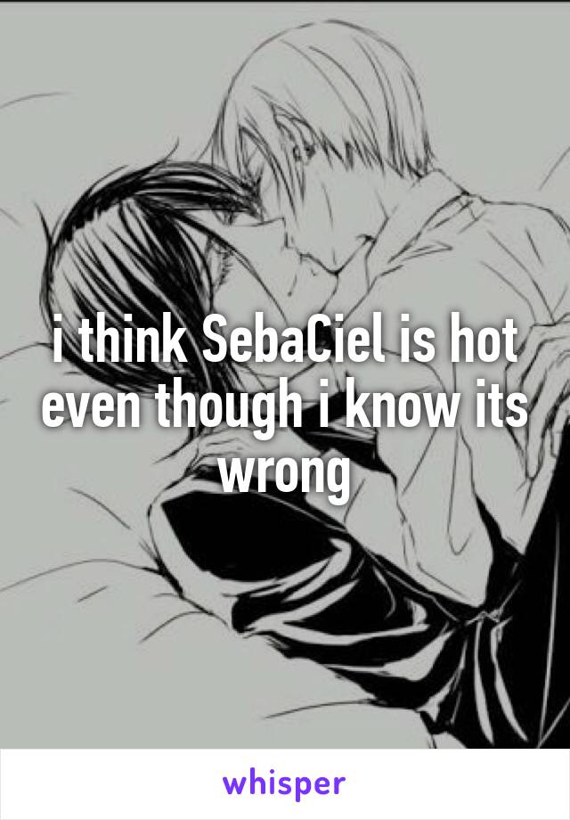 i think SebaCiel is hot even though i know its wrong