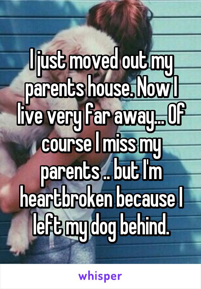 I just moved out my parents house. Now I live very far away... Of course I miss my parents .. but I'm heartbroken because I left my dog behind.