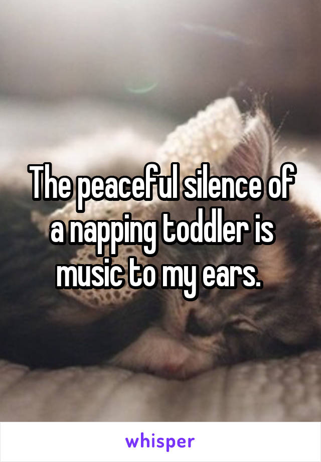 The peaceful silence of a napping toddler is music to my ears. 