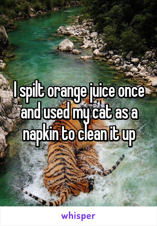 I spilt orange juice once and used my cat as a napkin to clean it up
