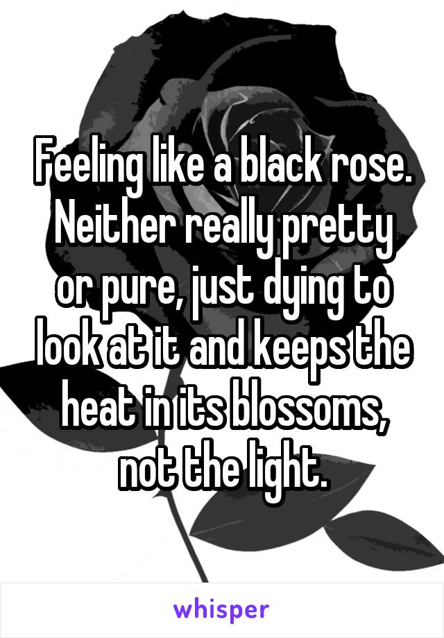 Feeling like a black rose.
Neither really pretty or pure, just dying to look at it and keeps the heat in its blossoms, not the light.