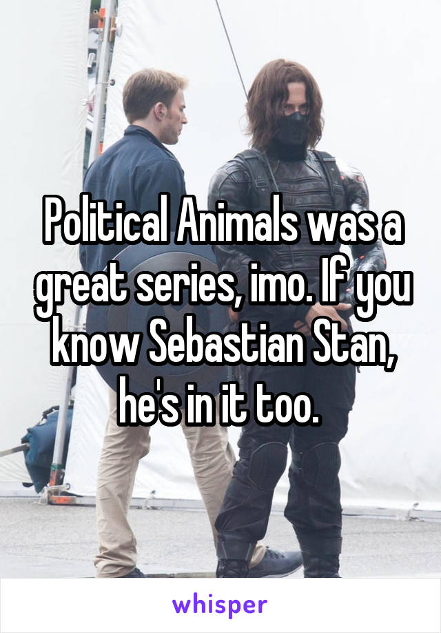 Political Animals was a great series, imo. If you know Sebastian Stan, he's in it too. 