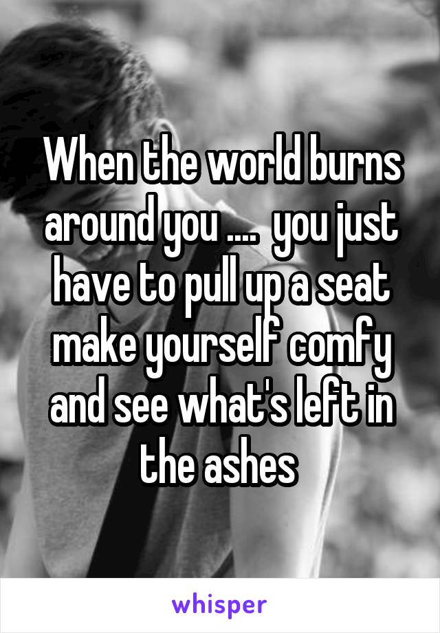 When the world burns around you ....  you just have to pull up a seat make yourself comfy and see what's left in the ashes 
