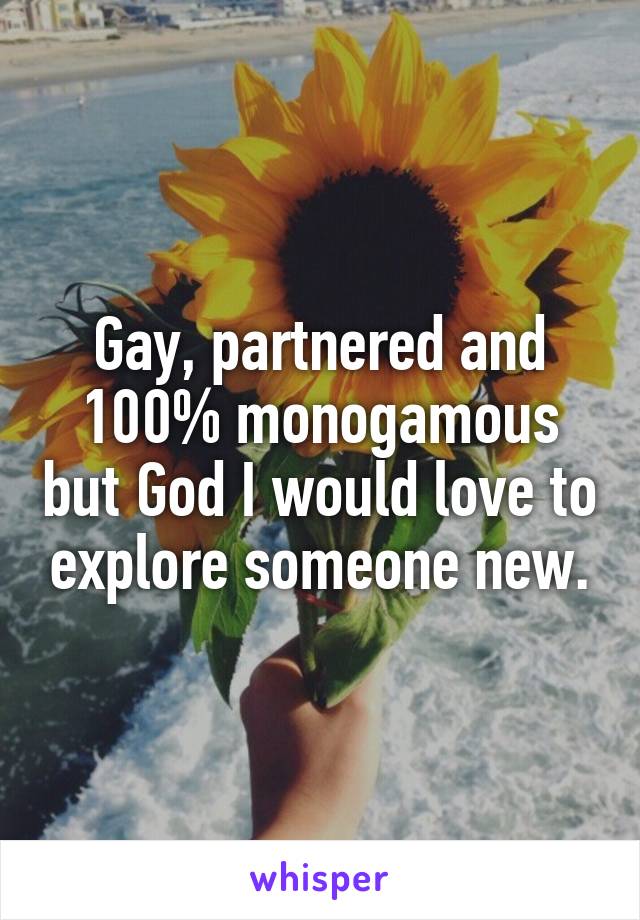 Gay, partnered and 100% monogamous but God I would love to explore someone new.