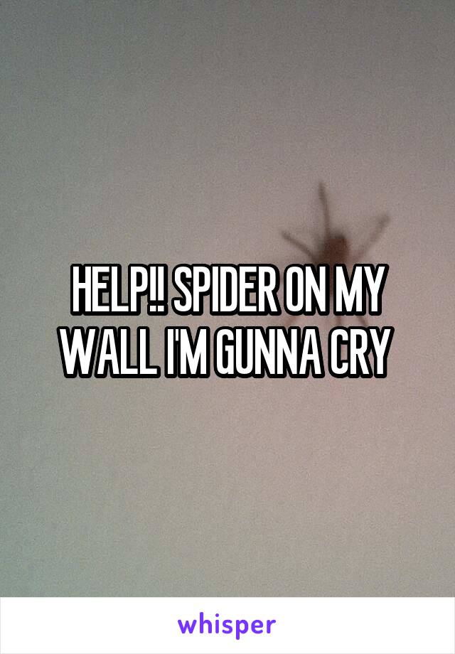 HELP!! SPIDER ON MY WALL I'M GUNNA CRY 