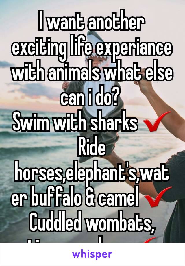I want another exciting life experiance with animals what else can i do? 
Swim with sharks ✔
Ride horses,elephant's,water buffalo & camel ✔
Cuddled wombats, tigers,snakes ✔