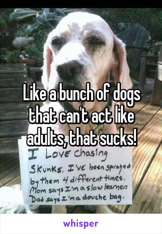 Like a bunch of dogs that can't act like adults, that sucks!