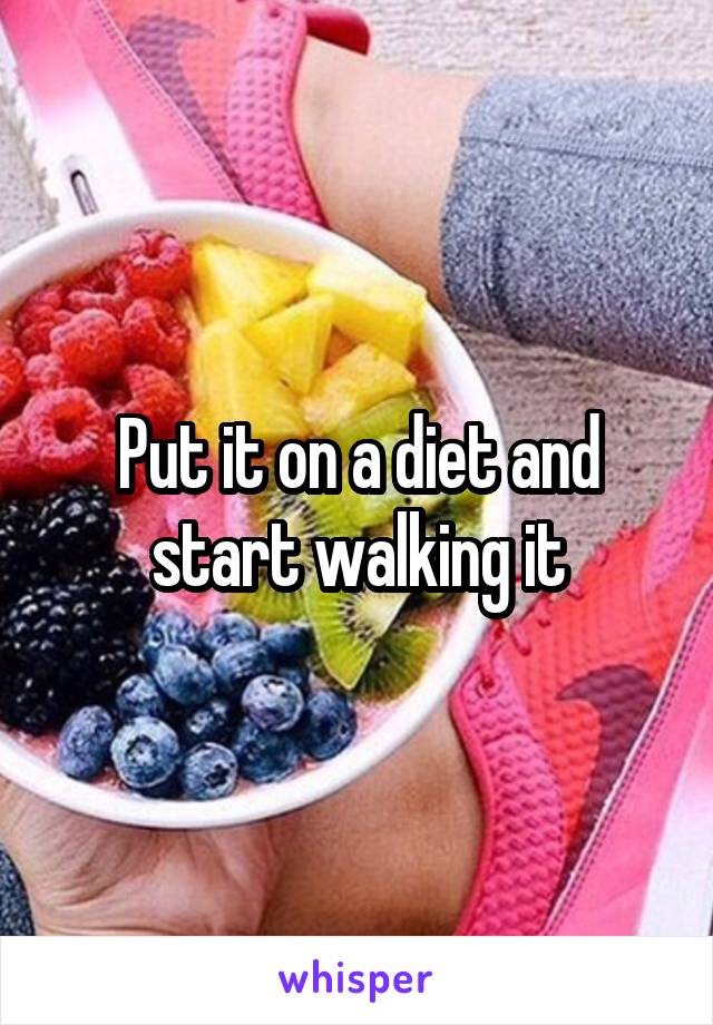 Put it on a diet and start walking it