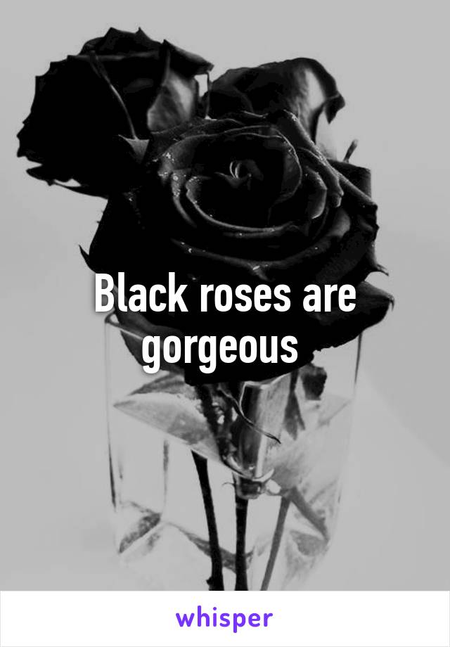 Black roses are gorgeous 