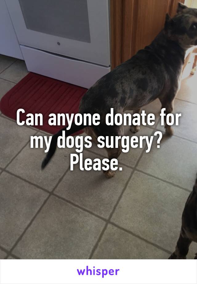 Can anyone donate for my dogs surgery?  Please. 