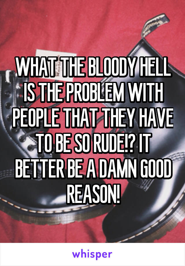 WHAT THE BLOODY HELL IS THE PROBLEM WITH PEOPLE THAT THEY HAVE TO BE SO RUDE!? IT BETTER BE A DAMN GOOD REASON!