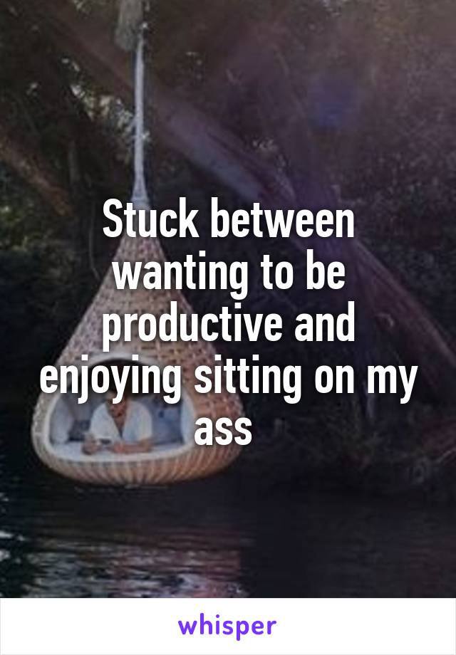 Stuck between wanting to be productive and enjoying sitting on my ass 