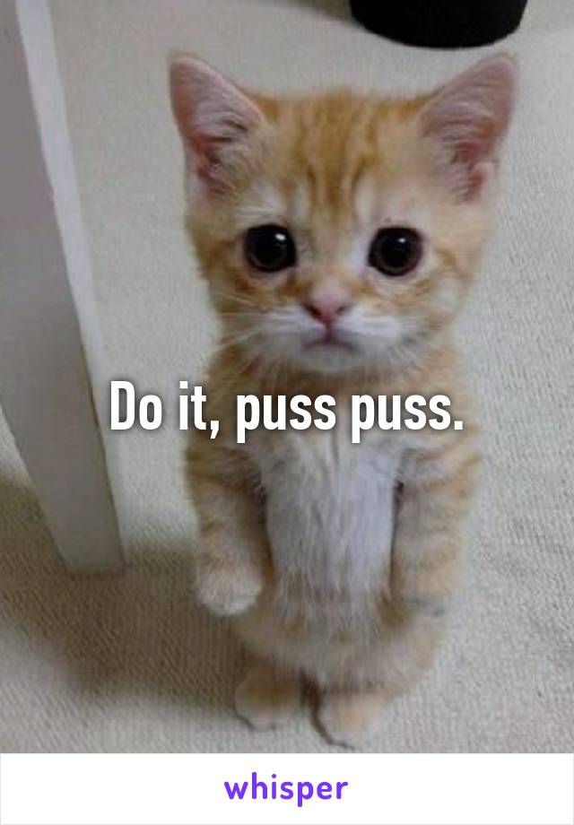 Do it, puss puss.