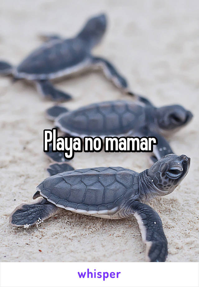 Playa no mamar