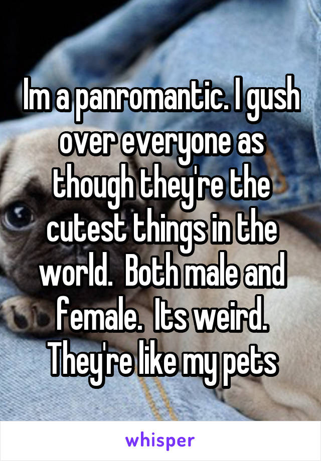 Im a panromantic. I gush over everyone as though they're the cutest things in the world.  Both male and female.  Its weird. They're like my pets