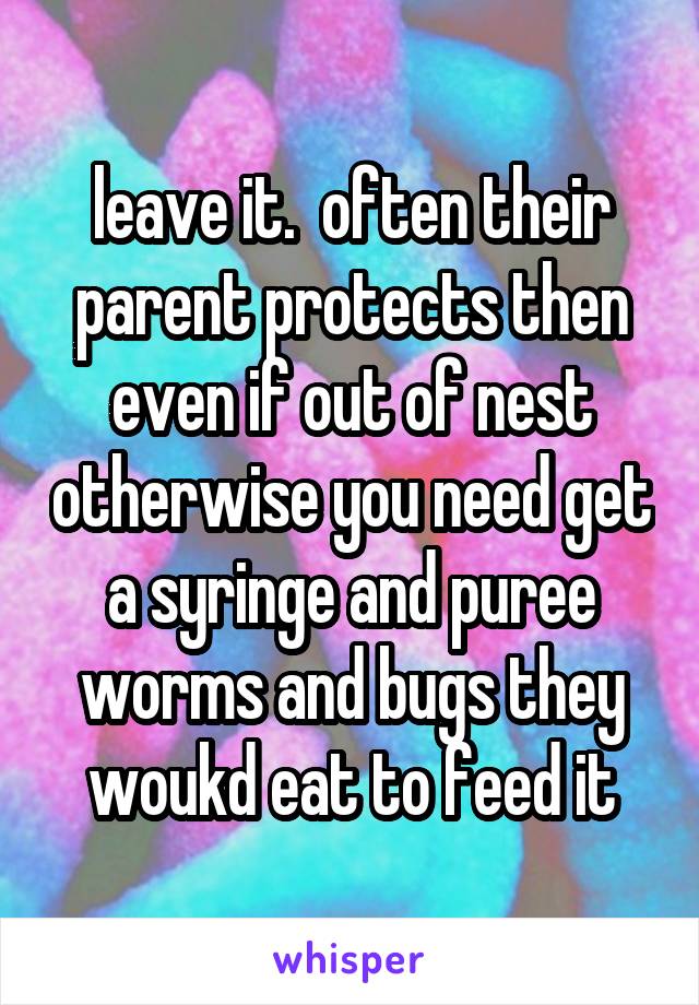 leave it.  often their parent protects then even if out of nest otherwise you need get a syringe and puree worms and bugs they woukd eat to feed it
