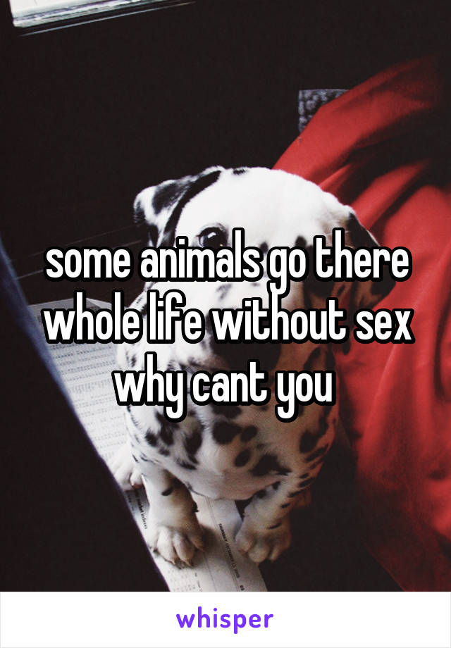 some animals go there whole life without sex why cant you 