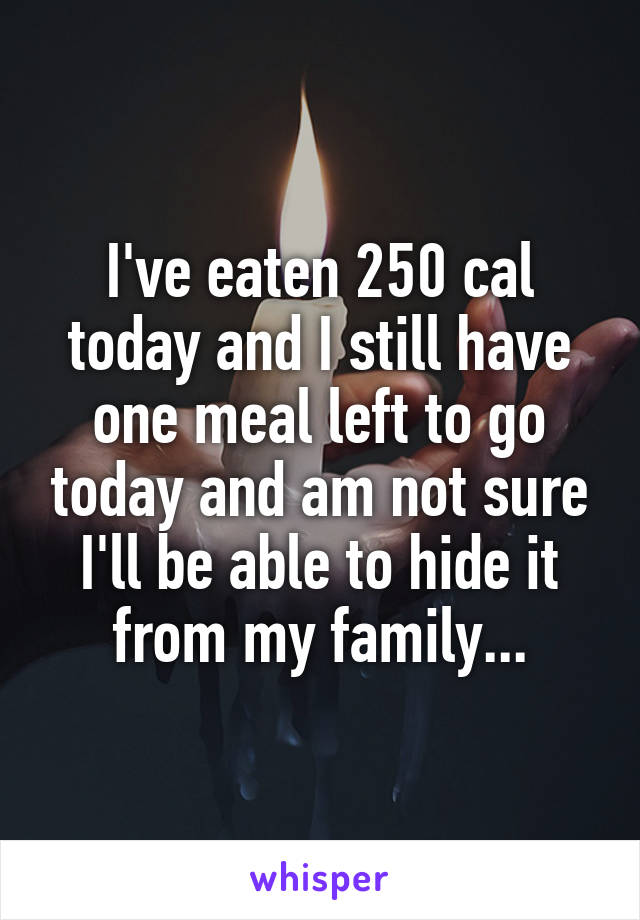 I've eaten 250 cal today and I still have one meal left to go today and am not sure I'll be able to hide it from my family...