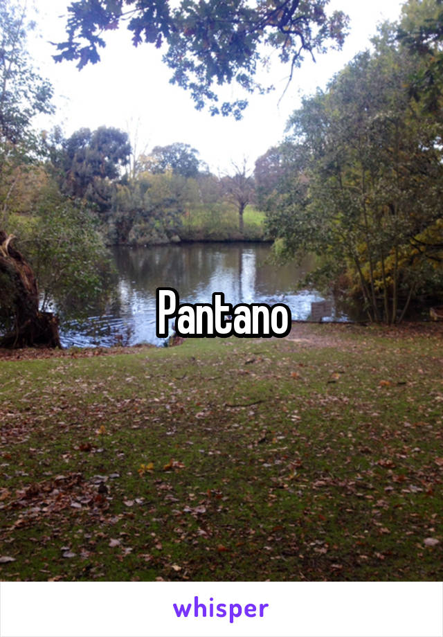 Pantano