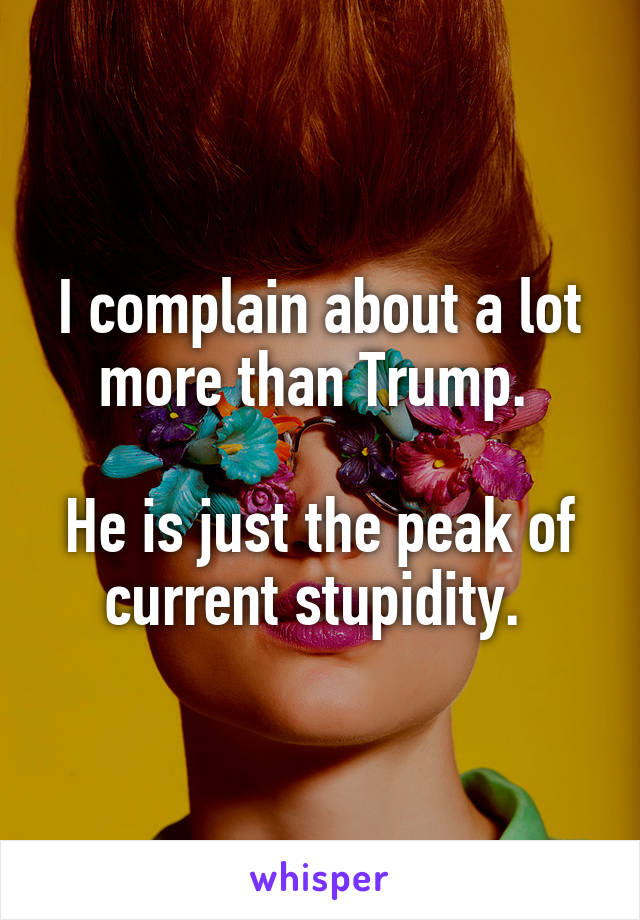 I complain about a lot more than Trump. 

He is just the peak of current stupidity. 
