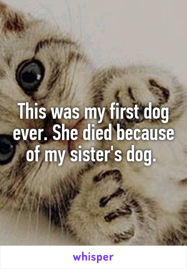 This was my first dog ever. She died because of my sister's dog. 