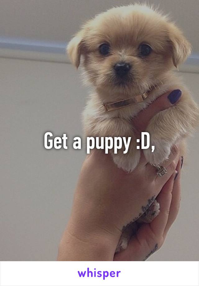 Get a puppy :D,