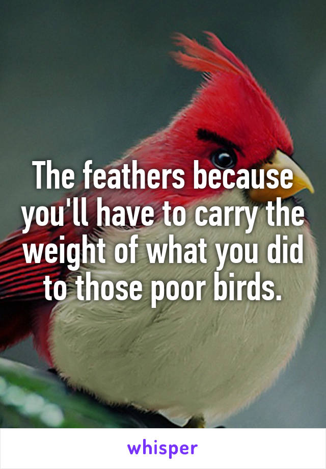 The feathers because you'll have to carry the weight of what you did to those poor birds.