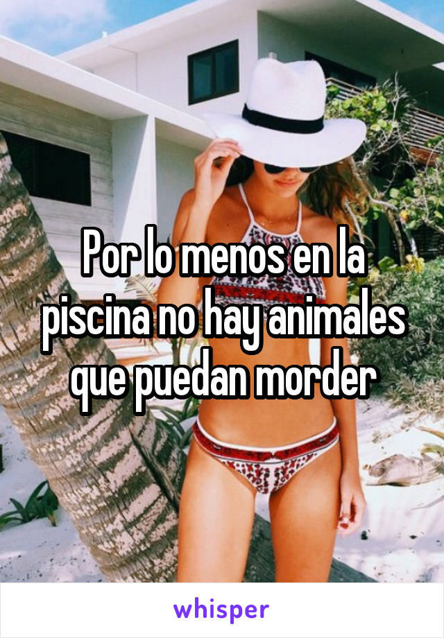 Por lo menos en la piscina no hay animales que puedan morder