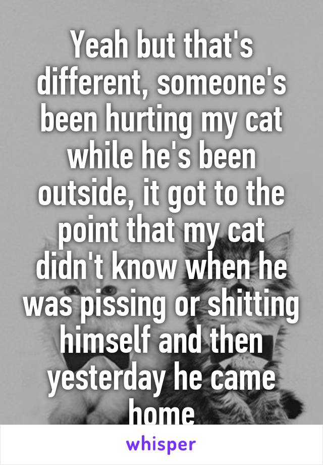 Yeah but that's different, someone's been hurting my cat while he's been outside, it got to the point that my cat didn't know when he was pissing or shitting himself and then yesterday he came home