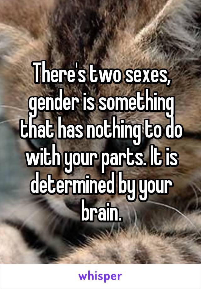 There's two sexes, gender is something that has nothing to do with your parts. It is determined by your brain.