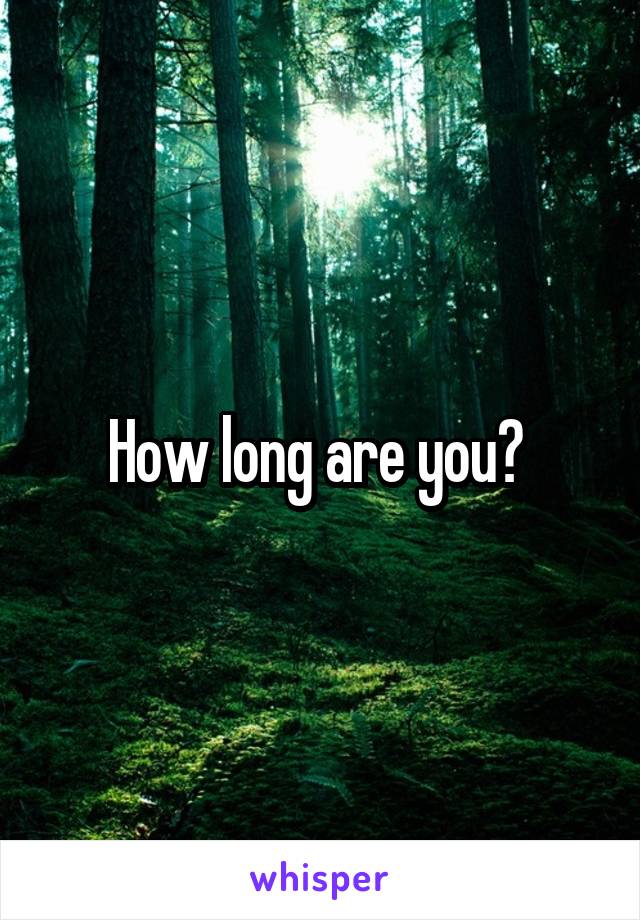 How long are you? 