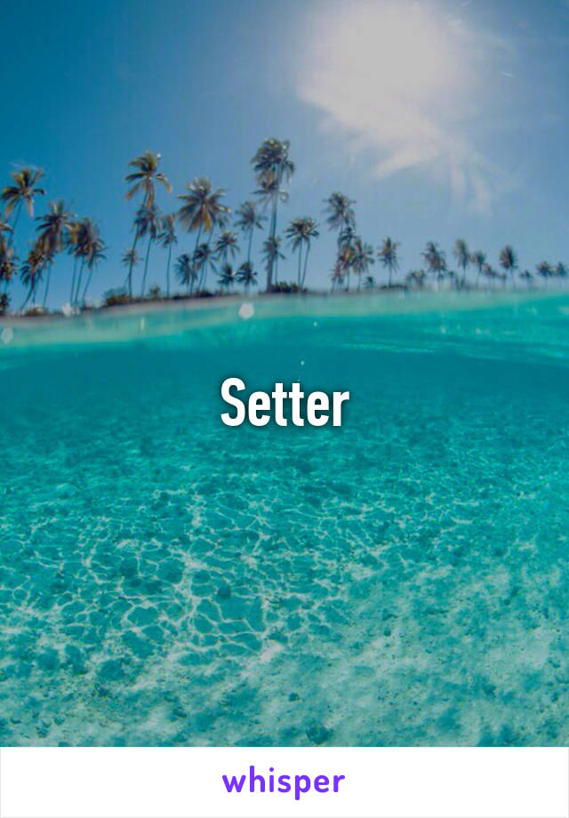 Setter