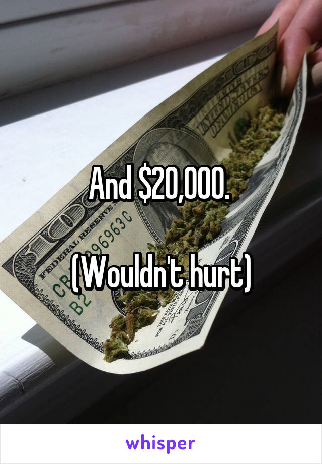 And $20,000. 

(Wouldn't hurt)