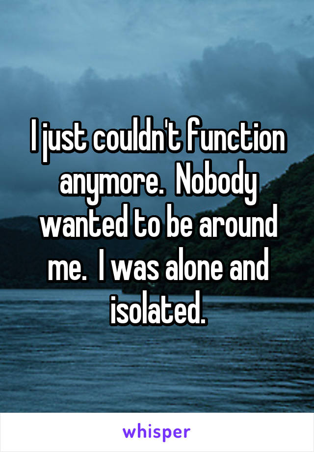 I just couldn't function anymore.  Nobody wanted to be around me.  I was alone and isolated.