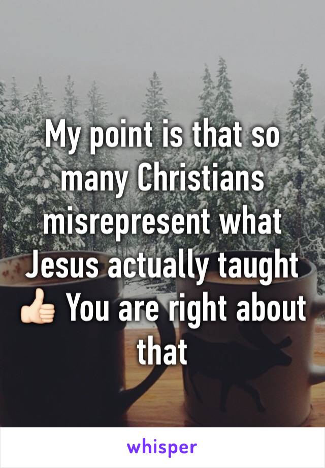 My point is that so many Christians misrepresent what Jesus actually taught 👍🏻 You are right about that