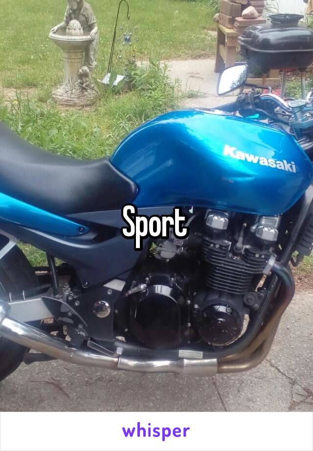 Sport 