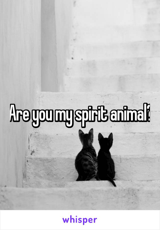 Are you my spirit animal?