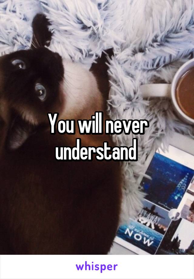 You will never understand 